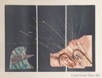 04622_brangoccio_22x30_monoprint
