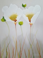 80947c_white_poppies_on_beige_48_x_36